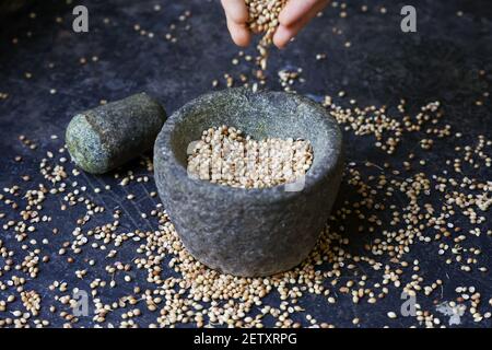Indiana Donna mano polvere di coriandolo di spezie indiane in pietra mortaio Kerala India Sri Lanka cucina tradizionale indiana. Masala curry tradizionale Foto Stock