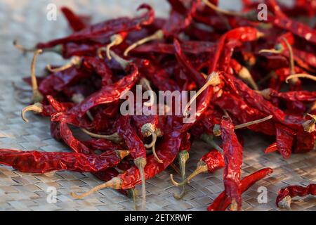 Donna indiana polvere mano spezie indiane rosso freddo, peperoncino paprika polvere esplosione splash utilizzando mortaio di pietra cucina indiana Kerala India Sri Lanka Foto Stock