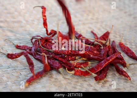 Donna indiana polvere mano spezie indiane rosso freddo, peperoncino paprika polvere esplosione splash utilizzando mortaio di pietra cucina indiana Kerala India Sri Lanka Foto Stock