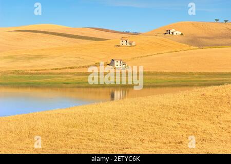 PAESAGGIO RURALE ESTATE. Tra Puglia e Basilicata: Lago di Basentello. Poggiorsini (ITALIA) Foto Stock