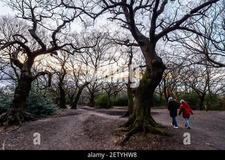 Londra/UK - 2/15/21 - una coppia che cammina attraverso i boschi al tramonto Foto Stock