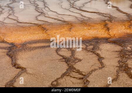 Linee e modelli naturali in un bacino di geyser, Yellowstone National Park Foto Stock