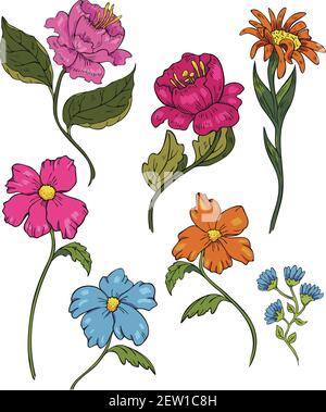 Insieme di illustrazioni vettoriali di fiori colorati in fiore. Collezione di fiori astratti. Illustrazione Vettoriale