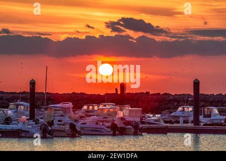 Francia, Vandea (85), île de Noirmoutier, l'Epine, Pointe du Devin, Coucher de soleil sur le port de Morin Foto Stock