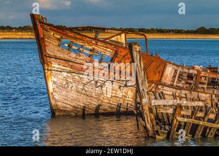 Francia, Vandea (85), île de Noirmoutier, Noirmoutier-en-l'Ile, le cimetière de bateaux Foto Stock