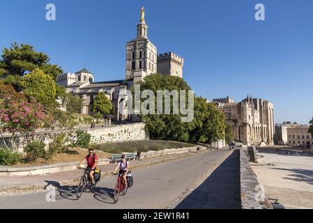 Francia, Vaucluse, Avignone, ViaRhôna, ciclisti che salgono verso il Jardin des Doms con la cattedrale Doms 12 ° secolo Foto Stock