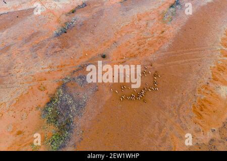 Kenya, regione del lago Turkana, deserto di calbi (vista aerea) Foto Stock