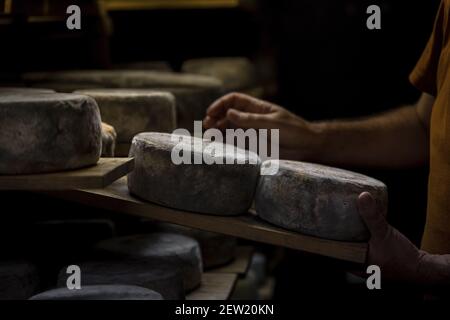 Francia, Loira Atlantica, Plesse, formaggio della fattoria 7 sentieri Foto Stock