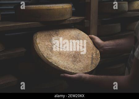 Francia, Loira Atlantica, Plesse, formaggio della fattoria 7 sentieri Foto Stock