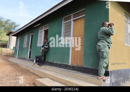 Tanzania, Parco Nazionale Serengeti, Ikoma in Unit K9 Park, i ranger hanno sempre binocoli a portata di mano per osservare la fauna selvatica, elefanti, inene, bufali, molti animali selvatici avvicinarsi al recinto della unità canina ogni giorno Foto Stock