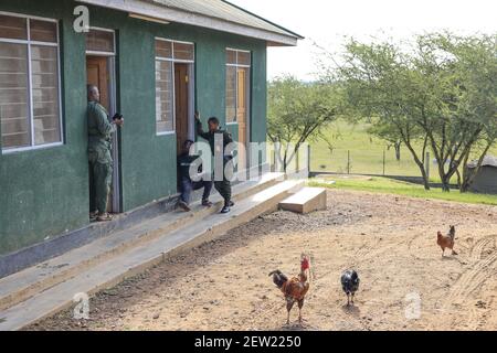 Tanzania, Parco Nazionale Serengeti, Ikoma in Unit K9 Park, i ranger hanno sempre binocoli a portata di mano per osservare la fauna selvatica, elefanti, inene, bufali, molti animali selvatici avvicinarsi al recinto della unità canina ogni giorno Foto Stock