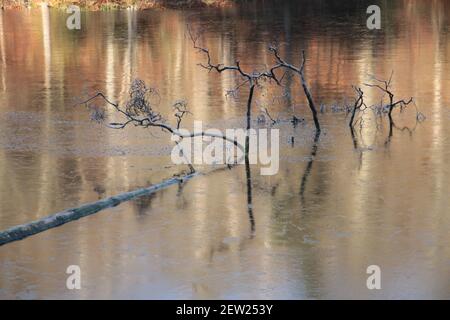 La mia passeggiata in Germania Stoccarda Bärensee meraviglioso paesaggio per Libro Design Calendario Design sfondo con meraviglioso lago mistico acqua mistica Foto Stock