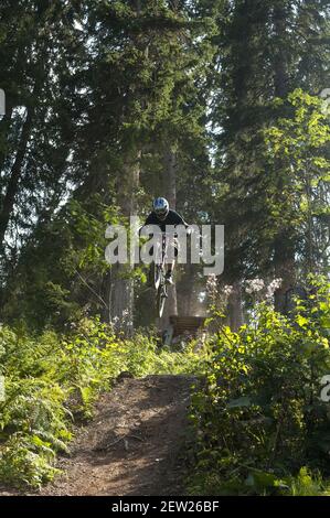 Svizzera, Canton Vallese, Morgins, discesa in mountain bike nella località Foto Stock