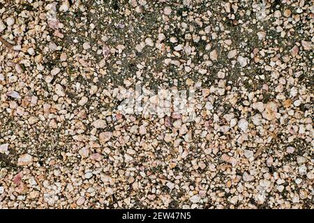Piccoli ciottoli mescolati con sporcizia, immagine di primo piano direttamente sopra. Ambiente naturale con texture e dettagli. Foto Stock