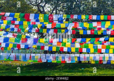Bandiere di preghiera colorate. Bandiere di preghiera tibetane con scritti buddisti. Foto Stock