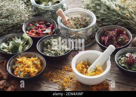 Mortaio, ciotole e vasetti di erbe medicinali asciutte sul tavolo. Assortimento di erbe curative. Medicina alternativa. Foto Stock