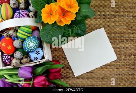tulipani, primrosi, uova dipinte e biscotti a forma di coniglietto Foto Stock