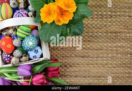 tulipani, primrosi, uova dipinte e biscotti a forma di coniglietto Foto Stock