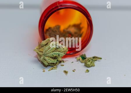 Macro foto di marijuana medica dal dispensario Foto Stock