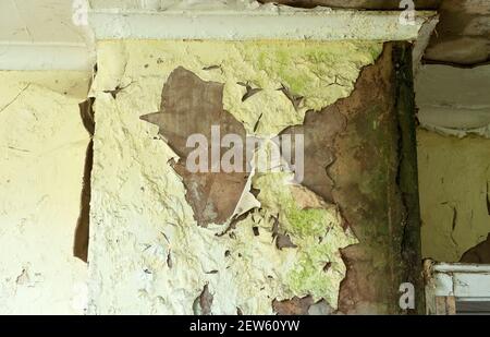 Soffitto danneggiato a causa di perdite di acqua Foto Stock