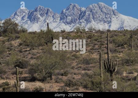 La splendida area selvaggia con quattro picchi nella Superstition Range a est di Phoenix, Arizona, è particolarmente magnifica con una rara neve. Foto Stock