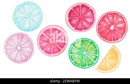 Set di pezzi di frutta fatti a mano. Disegno a clipart illustrazione stilizzata per prodotti naturali, motivi, confezioni, volantini. Disegno a linee dettagliato Foto Stock
