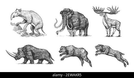 Mammoth o elefante estinto, Woolly rhinoceros Cave leone orso. Panthera Sabre tigre dentate, alci o cervi irlandesi, spioventi macinati, Megatheriidae. Vintage Illustrazione Vettoriale