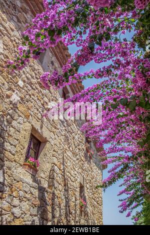 via di una città medievale, con pareti in pietra decorate con fiori viola in piena fioritura, a Pals, Gerona, Spagna Foto Stock