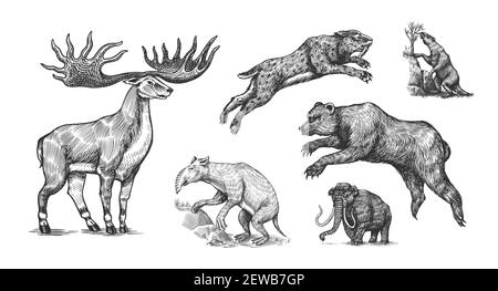 Mammoth o elefante estinto, Woolly rhinoceros Cave leone orso. Panthera Sabre tigre dentate, alci o cervi irlandesi, spioventi macinati, Megatheriidae. Vintage Illustrazione Vettoriale