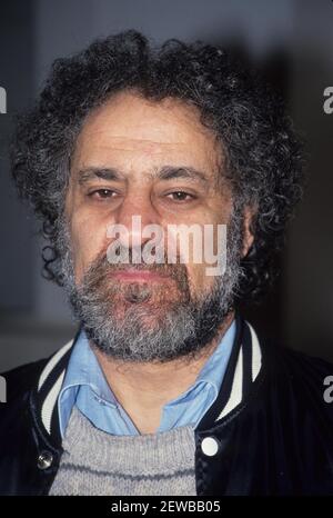 Abbie Hoffman 1980 Foto di Adam Scull-PHOTOlink.net Foto Stock