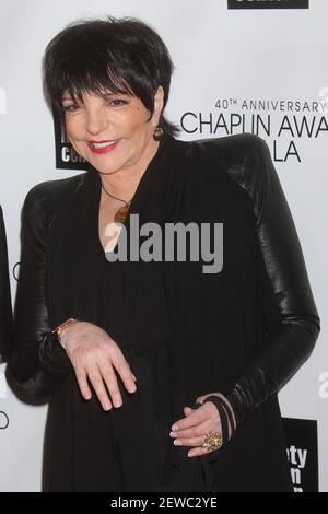 Liza Minnelli partecipa alla Film Society of Lincoln Center's 40 ° anniversario Chaplin Award Gala onorando Barbra Streisand presso Avery Fisher Hall a New York City il 22 aprile 2013. Foto: Henry McGee/MediaPunch Foto Stock