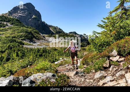 WA17641-00..... WASHINGTON - Woman backpacking sul Pacific Crest Trail a nord di Snoqualmie Pass lungo Chickmin Ridge. N. MR S1 Foto Stock