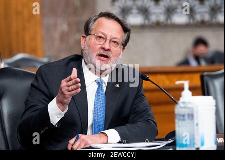 Washington, Stati Uniti. 02 marzo 2021. Il senatore degli Stati Uniti Gary Peters (D-MI) parla ad un'audizione del Comitato dei servizi Armed del Senato sulle sfide e la strategia globali di sicurezza. Credit: SOPA Images Limited/Alamy Live News Foto Stock