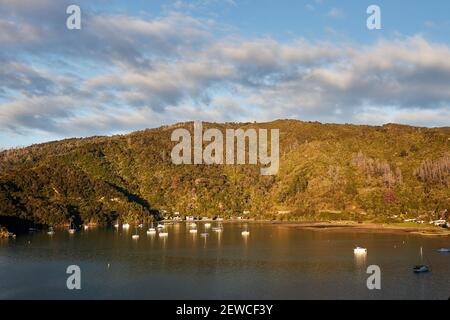 Barche all'ancora a Ngakuta Bay a Queen Charlotte Sound, Marlborough, nell'Isola del Sud della Nuova Zelanda Foto Stock