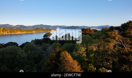 Vista dalla testa del Marlborough suoni giù la regina Charlotte Sound dal santuario naturale dell'isola di Motuara Foto Stock