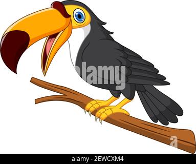 Cartoon toucan uccello sul ramo albero Illustrazione Vettoriale