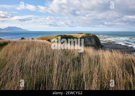 Sulla Kaikoura Peninsula Walkway che vi porta lungo una spettacolare scogliera sopra le colonie di foche, con vista sull'oceano fino alla copertura della neve Foto Stock