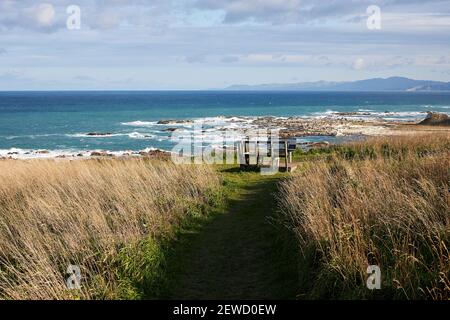 Sulla passeggiata della Penisola di Kaikoura nell'Isola del Sud della Nuova Zelanda Foto Stock