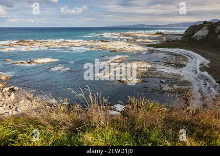 Sulla passeggiata della Penisola di Kaikoura che vi porta lungo una spettacolare percorso in cima alla scogliera sopra le colonie di foche Foto Stock