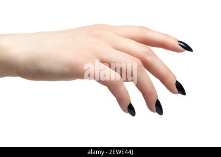 Mano femminile con manicure unghie nere. Isolato su sfondo bianco. Foto Stock