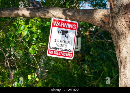 Avvertenza, nessuna trasgressione, videosorveglianza 24 ore su 24, segnale telecamera di sicurezza sul tronco dell'albero. Foto Stock