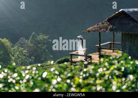 Donna asiatica che indossa il Vietnam la cultura tradizionale nel tè verde sul campo Doi Ang Khang , Chiang Mai, Thailandia. Foto Stock