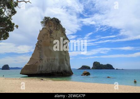 Te Hoho Rock, una formazione drammatica che si aggira dal mare a Cathedral Cove, Nuova Zelanda Foto Stock