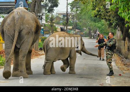 Elefante Asiatico, Elephas maximus adulta addomesticata con grande vitello fotografato da soldato. Villaggio di Sauraha, vicino al Parco Nazionale di Chitwan. Foto Stock