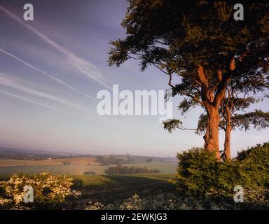 Paesaggio rurale dalla strada Bluestone Heath vicino a Louth, Lincolnshire Wolds, Inghilterra, Regno Unito Foto Stock