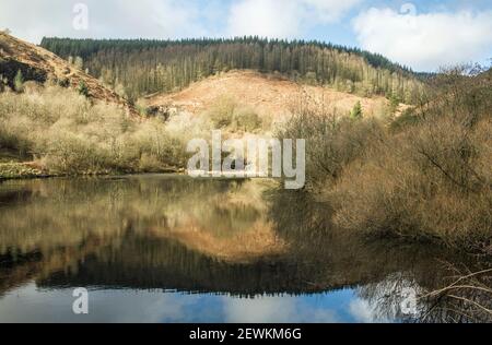 Lo Stagno superiore al CWM Clydach Campagna Parco Off La valle di Rhondda Fawr nel Galles meridionale Foto Stock