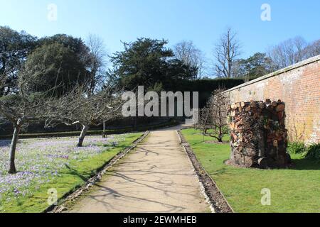 Hotel deluxe per insetti nel frutteto dei West Dean Gardens, Chichester. Progettato per attrarre una varietà di insetti tra cui insetti impollinanti di valore. Foto Stock