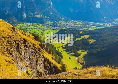 Grindelwald, Svizzera paesaggio alpino svizzero, verde valle vista aerea Foto Stock