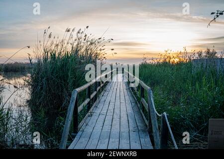 Spagna. Alba nel parco naturale El Hondo de Elche. Alicante Foto Stock