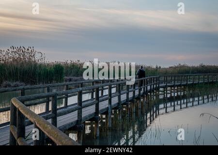 Spagna. Alba nel parco naturale El Hondo de Elche. Alicante Foto Stock